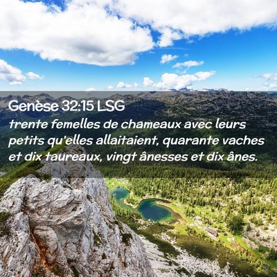 Picture 02 - Genèse 32:15 LSG - trente femelles de chameaux avec leurs petits - Bible Verse Picture