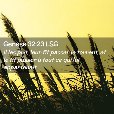 Picture 02 - Genèse 32:23 LSG - Il les prit, leur fit passer le torrent, et le - Bible Verse Picture