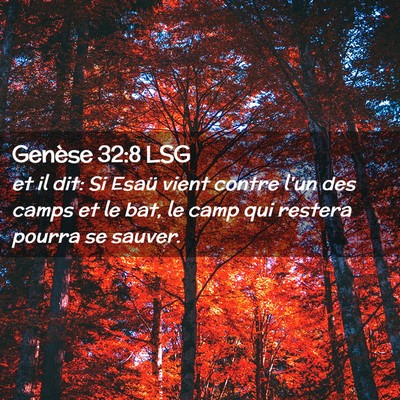 Picture 02 - Genèse 32:8 LSG - et il dit: Si Esaü vient contre l'un des camps - Bible Verse Picture