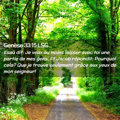 Picture 02 - Genèse 33:15 LSG - Esaü dit: Je veux au moins laisser avec toi une - Bible Verse Picture
