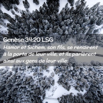 Picture 02 - Genèse 34:20 LSG - Hamor et Sichem, son fils, se rendirent à la - Bible Verse Picture
