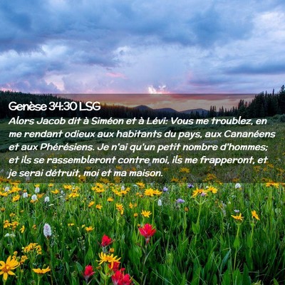 Picture 02 - Genèse 34:30 LSG - Alors Jacob dit à Siméon et à Lévi: Vous me - Bible Verse Picture