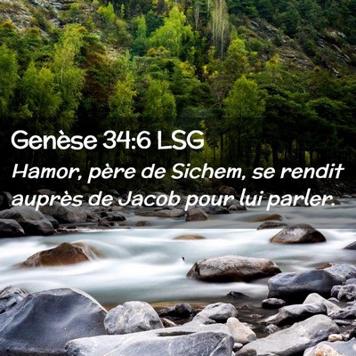 Picture 02 - Genèse 34:6 LSG - Hamor, père de Sichem, se rendit auprès de - Bible Verse Picture