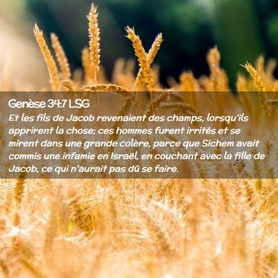 Picture 02 - Genèse 34:7 LSG - Et les fils de Jacob revenaient des champs, - Bible Verse Picture