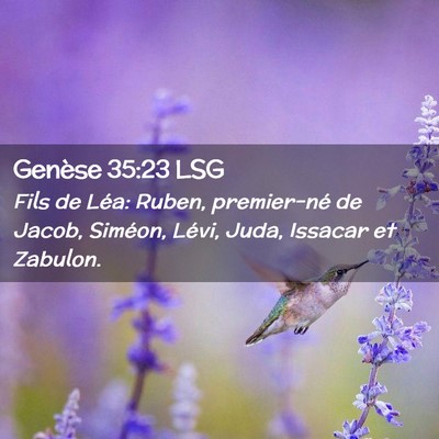 Picture 02 - Genèse 35:23 LSG - Fils de Léa: Ruben, premier-né de Jacob, - Bible Verse Picture