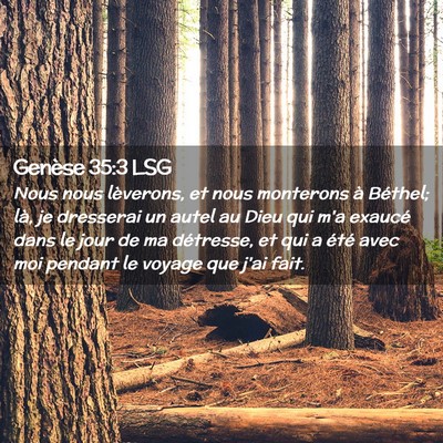 Picture 02 - Genèse 35:3 LSG - Nous nous lèverons, et nous monterons à - Bible Verse Picture
