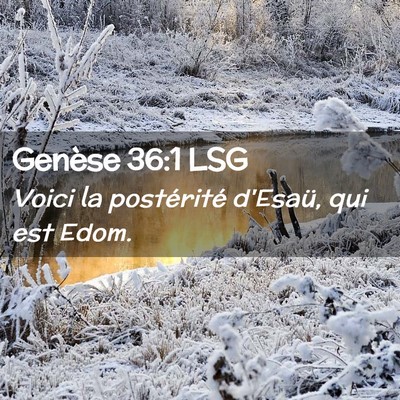 Picture 02 - Genèse 36:1 LSG - Voici la postérité d'Esaü, qui est - Bible Verse Picture