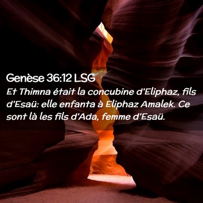 Picture 02 - Genèse 36:12 LSG - Et Thimna était la concubine d'Eliphaz, fils - Bible Verse Picture