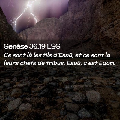 Picture 02 - Genèse 36:19 LSG - Ce sont là les fils d'Esaü, et ce sont là - Bible Verse Picture