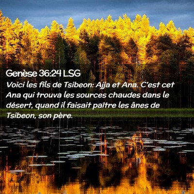 Picture 02 - Genèse 36:24 LSG - Voici les fils de Tsibeon: Ajja et Ana. C'est cet - Bible Verse Picture