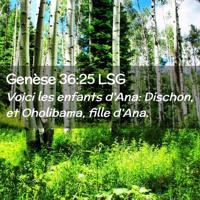 Picture 02 - Genèse 36:25 LSG - Voici les enfants d'Ana: Dischon, et Oholibama, - Bible Verse Picture