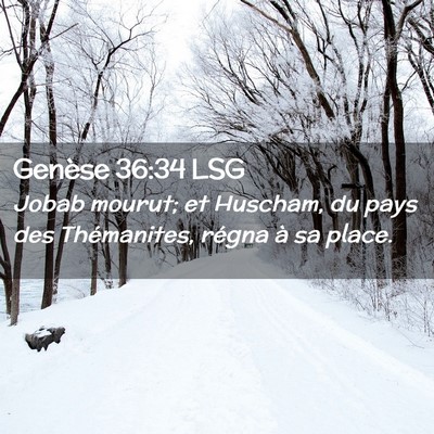 Picture 02 - Genèse 36:34 LSG - Jobab mourut; et Huscham, du pays des - Bible Verse Picture