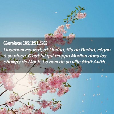 Picture 02 - Genèse 36:35 LSG - Huscham mourut; et Hadad, fils de Bedad, régna - Bible Verse Picture