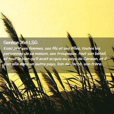 Picture 02 - Genèse 36:6 LSG - Esaü prit ses femmes, ses fils et ses filles, - Bible Verse Picture
