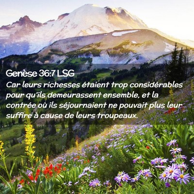 Picture 02 - Genèse 36:7 LSG - Car leurs richesses étaient trop considérables - Bible Verse Picture