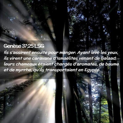 Picture 02 - Genèse 37:25 LSG - Ils s'assirent ensuite pour manger. Ayant levé - Bible Verse Picture