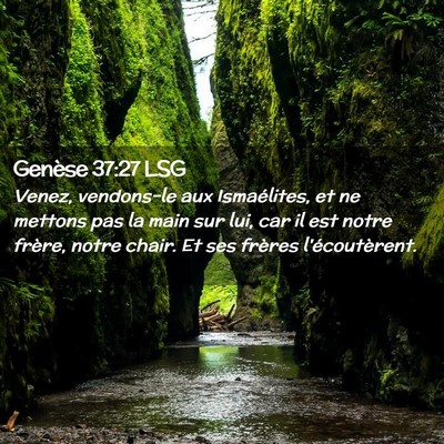 Picture 02 - Genèse 37:27 LSG - Venez, vendons-le aux Ismaélites, et ne mettons - Bible Verse Picture