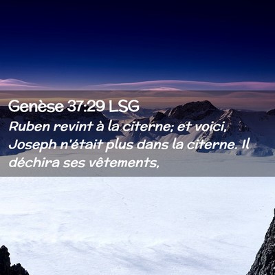 Picture 02 - Genèse 37:29 LSG - Ruben revint à la citerne; et voici, Joseph - Bible Verse Picture
