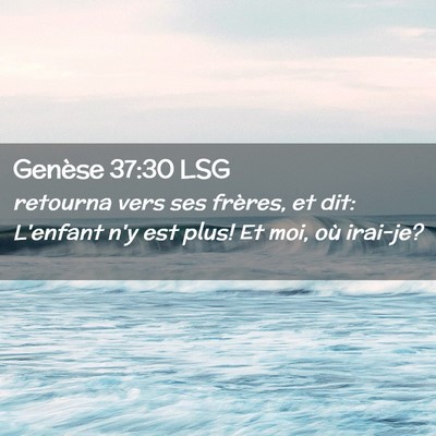 Picture 02 - Genèse 37:30 LSG - retourna vers ses frères, et dit: L'enfant n'y - Bible Verse Picture