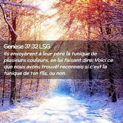 Picture 02 - Genèse 37:32 LSG - Ils envoyèrent à leur père la tunique de - Bible Verse Picture