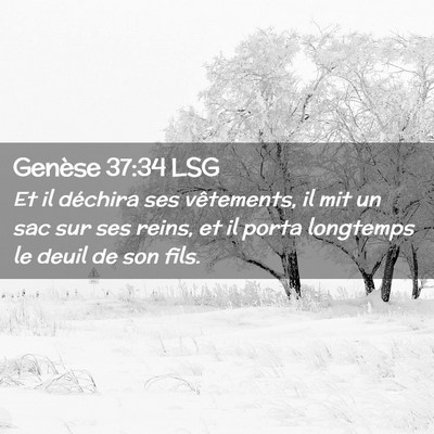 Picture 02 - Genèse 37:34 LSG - Et il déchira ses vêtements, il mit un sac sur - Bible Verse Picture