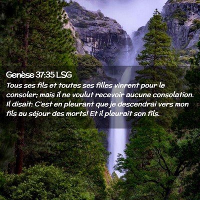 Picture 02 - Genèse 37:35 LSG - Tous ses fils et toutes ses filles vinrent pour - Bible Verse Picture