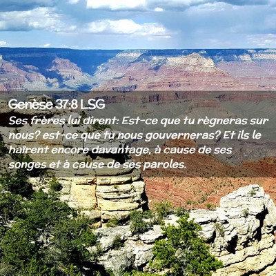 Picture 02 - Genèse 37:8 LSG - Ses frères lui dirent: Est-ce que tu règneras - Bible Verse Picture