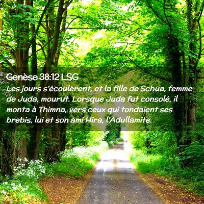 Picture 02 - Genèse 38:12 LSG - Les jours s'écoulèrent, et la fille de Schua, - Bible Verse Picture