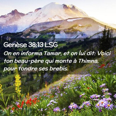 Picture 02 - Genèse 38:13 LSG - On en informa Tamar, et on lui dit: Voici ton - Bible Verse Picture