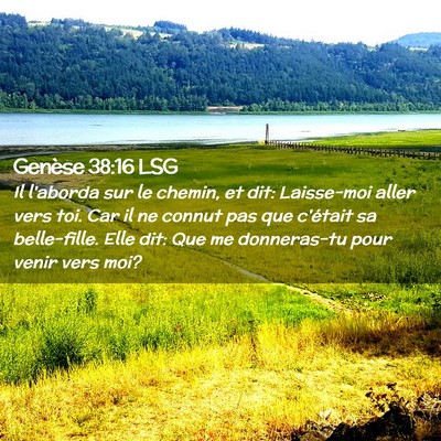 Picture 02 - Genèse 38:16 LSG - Il l'aborda sur le chemin, et dit: Laisse-moi - Bible Verse Picture