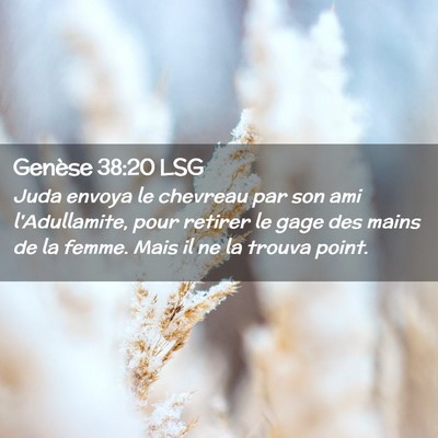 Picture 02 - Genèse 38:20 LSG - Juda envoya le chevreau par son ami l'Adullamite, - Bible Verse Picture