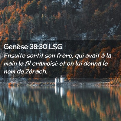 Picture 02 - Genèse 38:30 LSG - Ensuite sortit son frère, qui avait à la main - Bible Verse Picture