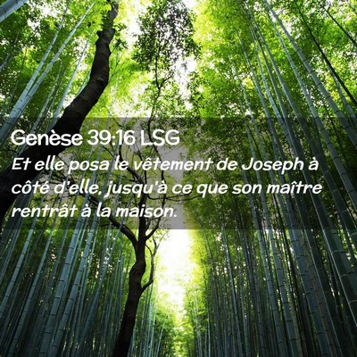 Picture 02 - Genèse 39:16 LSG - Et elle posa le vêtement de Joseph à côté - Bible Verse Picture