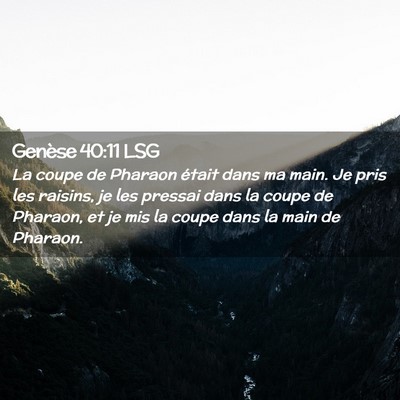 Picture 02 - Genèse 40:11 LSG - La coupe de Pharaon était dans ma main. Je pris - Bible Verse Picture