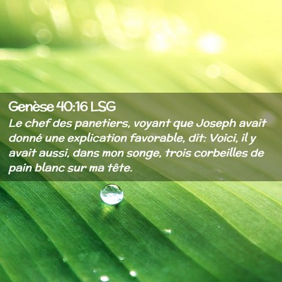 Picture 02 - Genèse 40:16 LSG - Le chef des panetiers, voyant que Joseph avait - Bible Verse Picture