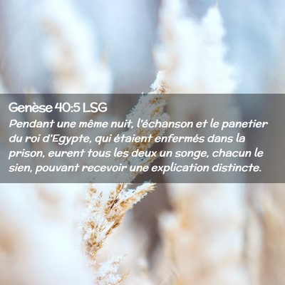 Picture 02 - Genèse 40:5 LSG - Pendant une même nuit, l'échanson et le - Bible Verse Picture