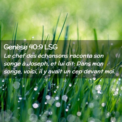 Picture 02 - Genèse 40:9 LSG - Le chef des échansons raconta son songe à - Bible Verse Picture