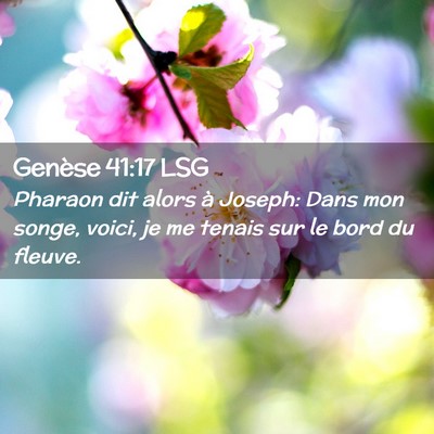 Picture 02 - Genèse 41:17 LSG - Pharaon dit alors à Joseph: Dans mon songe, - Bible Verse Picture