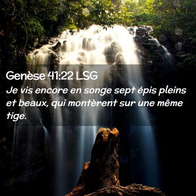 Picture 02 - Genèse 41:22 LSG - Je vis encore en songe sept épis pleins et - Bible Verse Picture