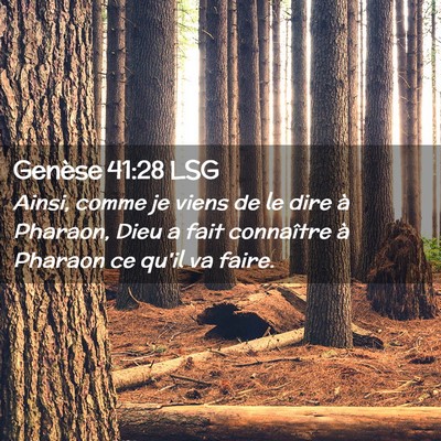 Picture 02 - Genèse 41:28 LSG - Ainsi, comme je viens de le dire à Pharaon, Dieu - Bible Verse Picture