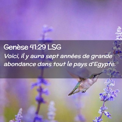 Picture 02 - Genèse 41:29 LSG - Voici, il y aura sept années de grande abondance - Bible Verse Picture