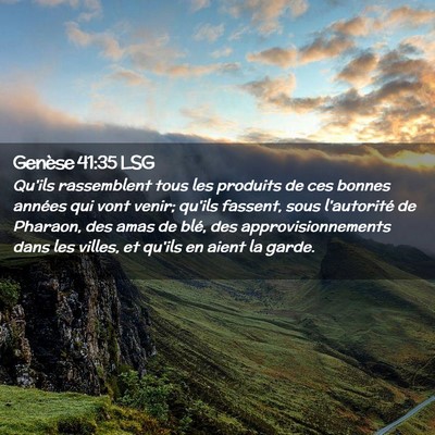 Picture 02 - Genèse 41:35 LSG - Qu'ils rassemblent tous les produits de ces - Bible Verse Picture