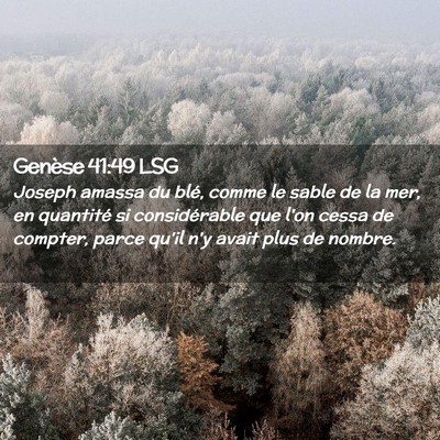 Picture 02 - Genèse 41:49 LSG - Joseph amassa du blé, comme le sable de la mer, - Bible Verse Picture