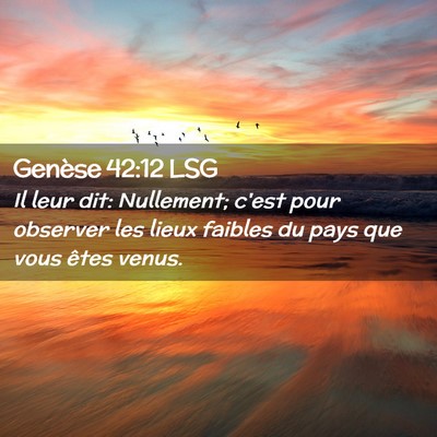 Picture 02 - Genèse 42:12 LSG - Il leur dit: Nullement; c'est pour observer les - Bible Verse Picture