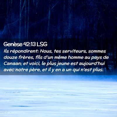 Picture 02 - Genèse 42:13 LSG - Ils répondirent: Nous, tes serviteurs, sommes - Bible Verse Picture