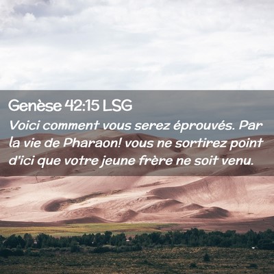 Picture 02 - Genèse 42:15 LSG - Voici comment vous serez éprouvés. Par la vie - Bible Verse Picture