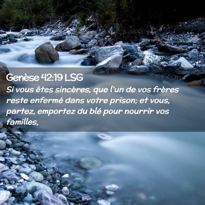 Picture 02 - Genèse 42:19 LSG - Si vous êtes sincères, que l'un de vos frères - Bible Verse Picture