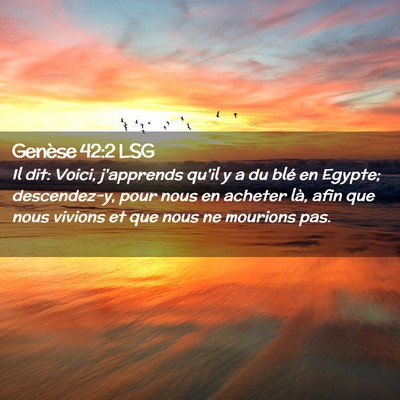 Picture 02 - Genèse 42:2 LSG - Il dit: Voici, j'apprends qu'il y a du blé en - Bible Verse Picture