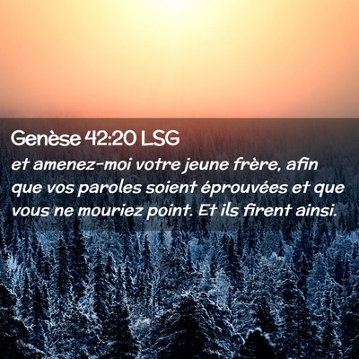 Picture 02 - Genèse 42:20 LSG - et amenez-moi votre jeune frère, afin que vos - Bible Verse Picture