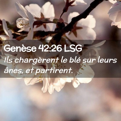 Picture 02 - Genèse 42:26 LSG - Ils chargèrent le blé sur leurs ânes, et - Bible Verse Picture